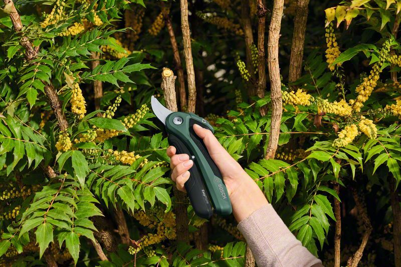Bosch EasyPrune Bahçe Makası